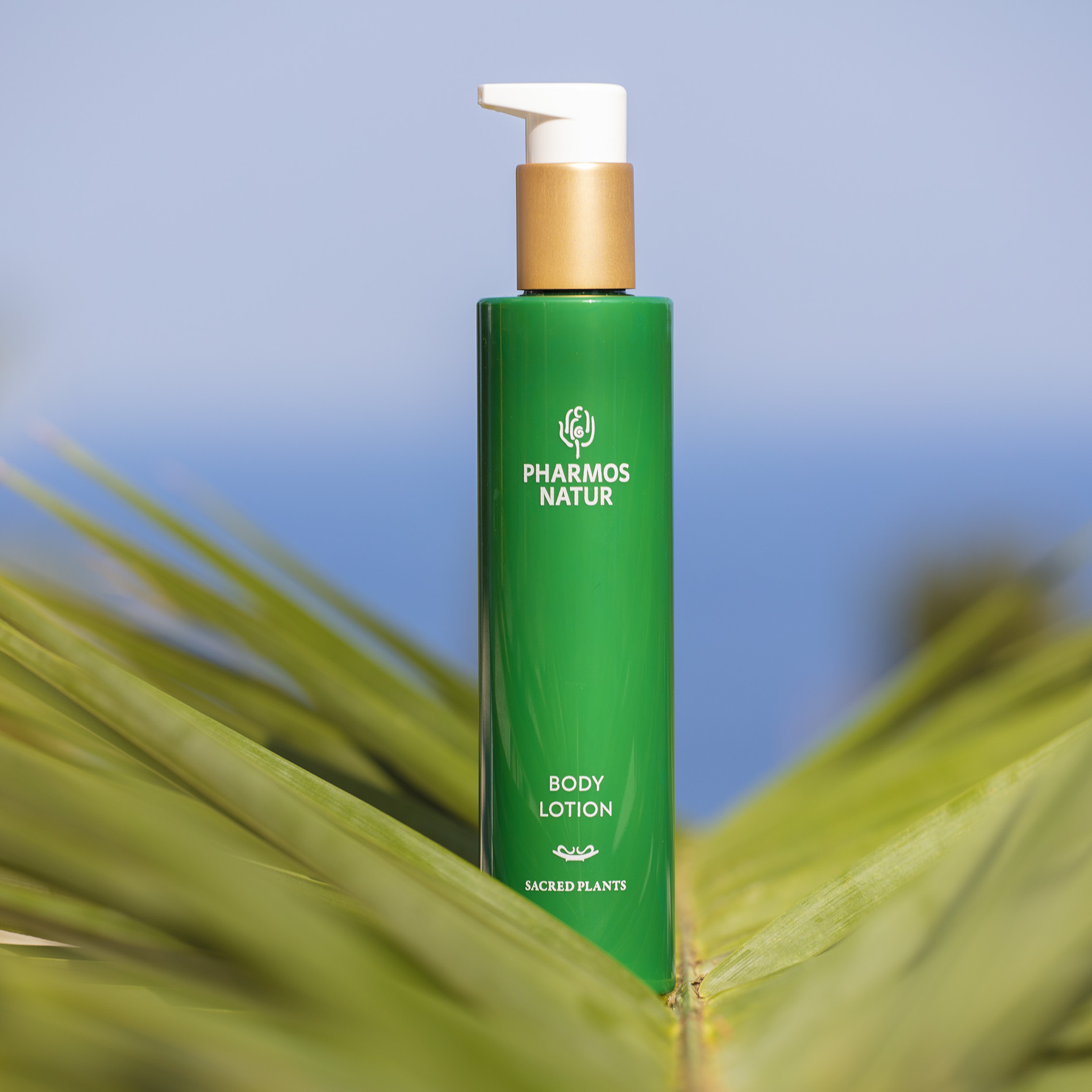 Body Lotion