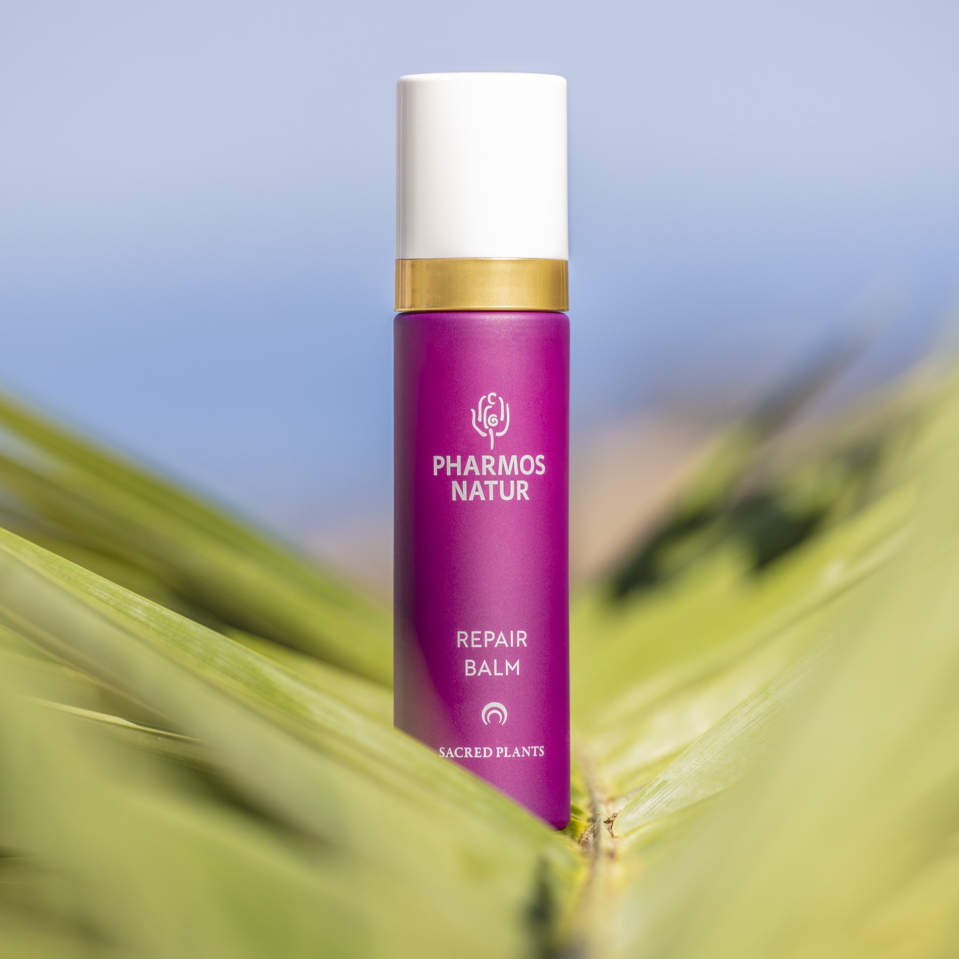 Repair Balm